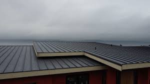 Best Commercial Roofing Services  in Earlington, KY